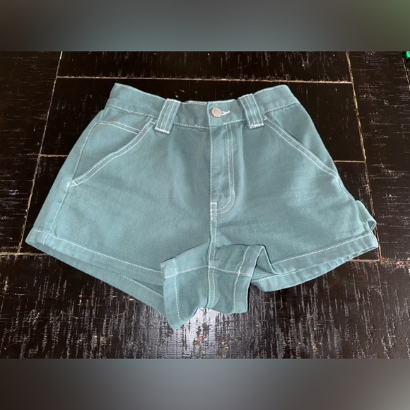 PacSun Pants - PacSun Carpenter Shorts